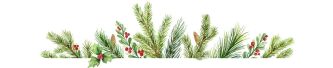The Wisley Foundation’s December Report