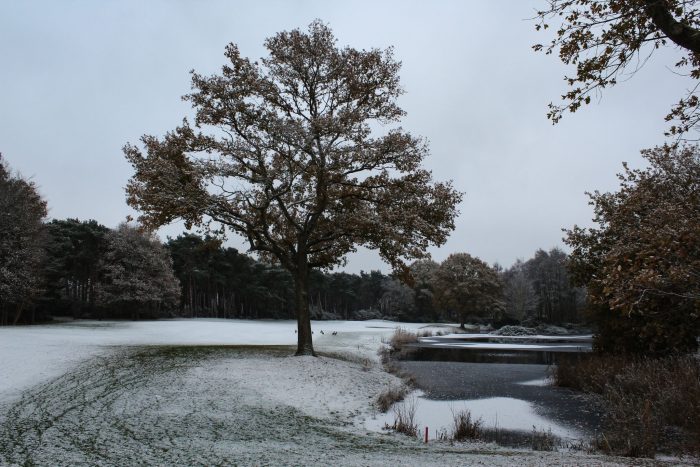Course December 2022