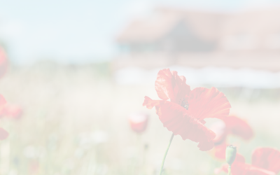 An Update from The Wisley Foundation